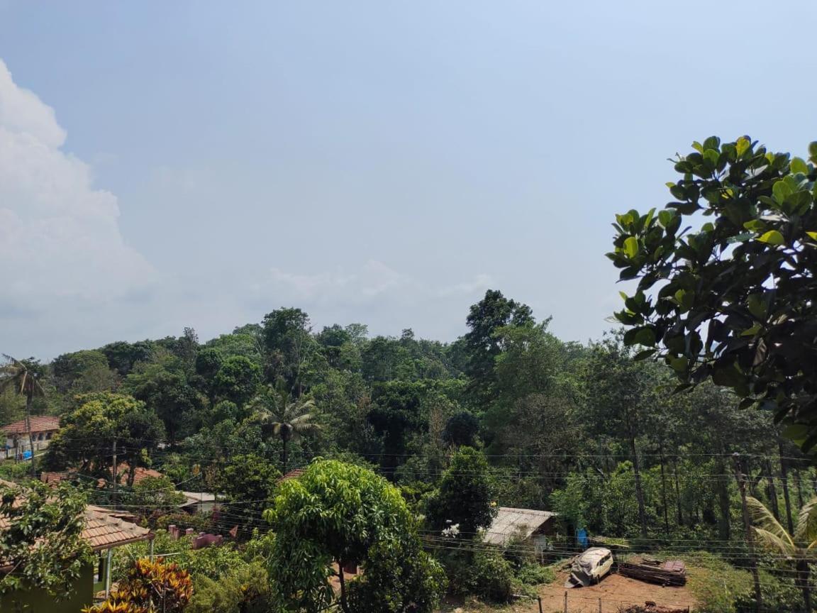 Green Land Estate Homestay 5 Rooms With Garden View Madikeri Exterior photo