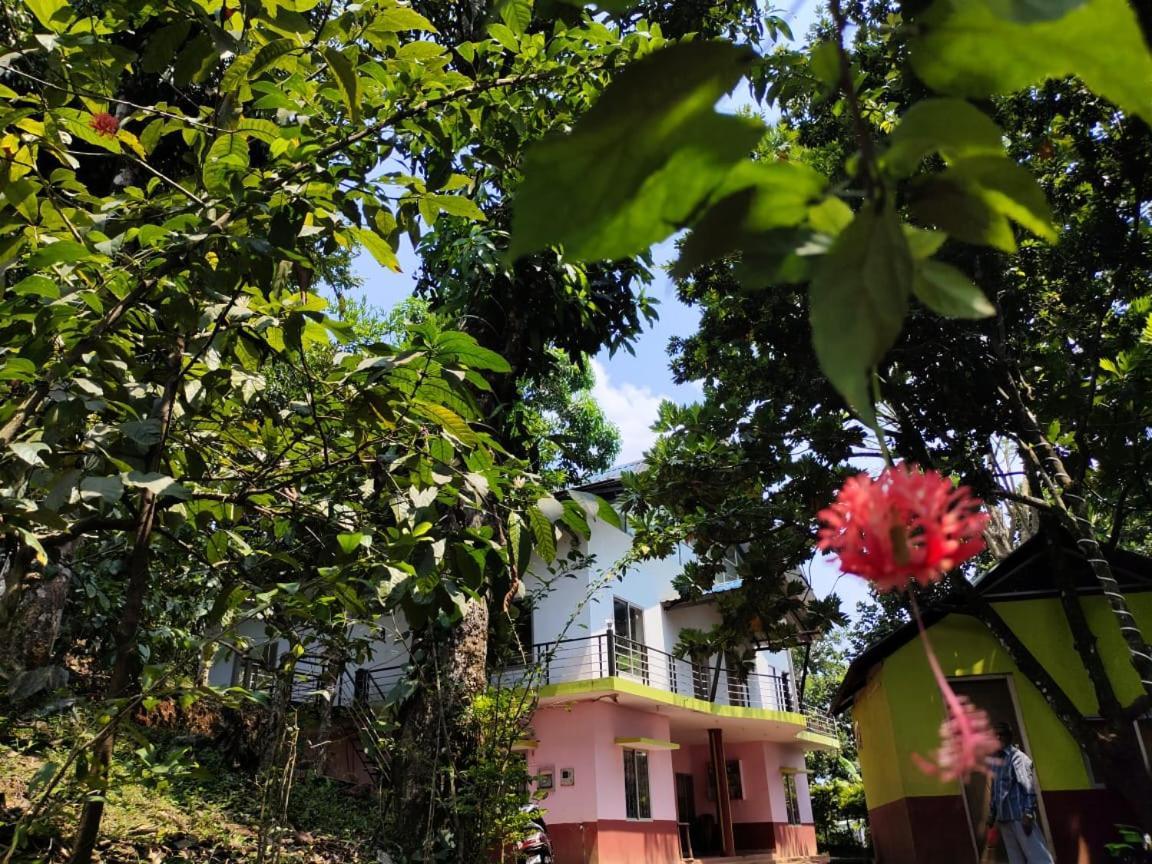 Green Land Estate Homestay 5 Rooms With Garden View Madikeri Exterior photo