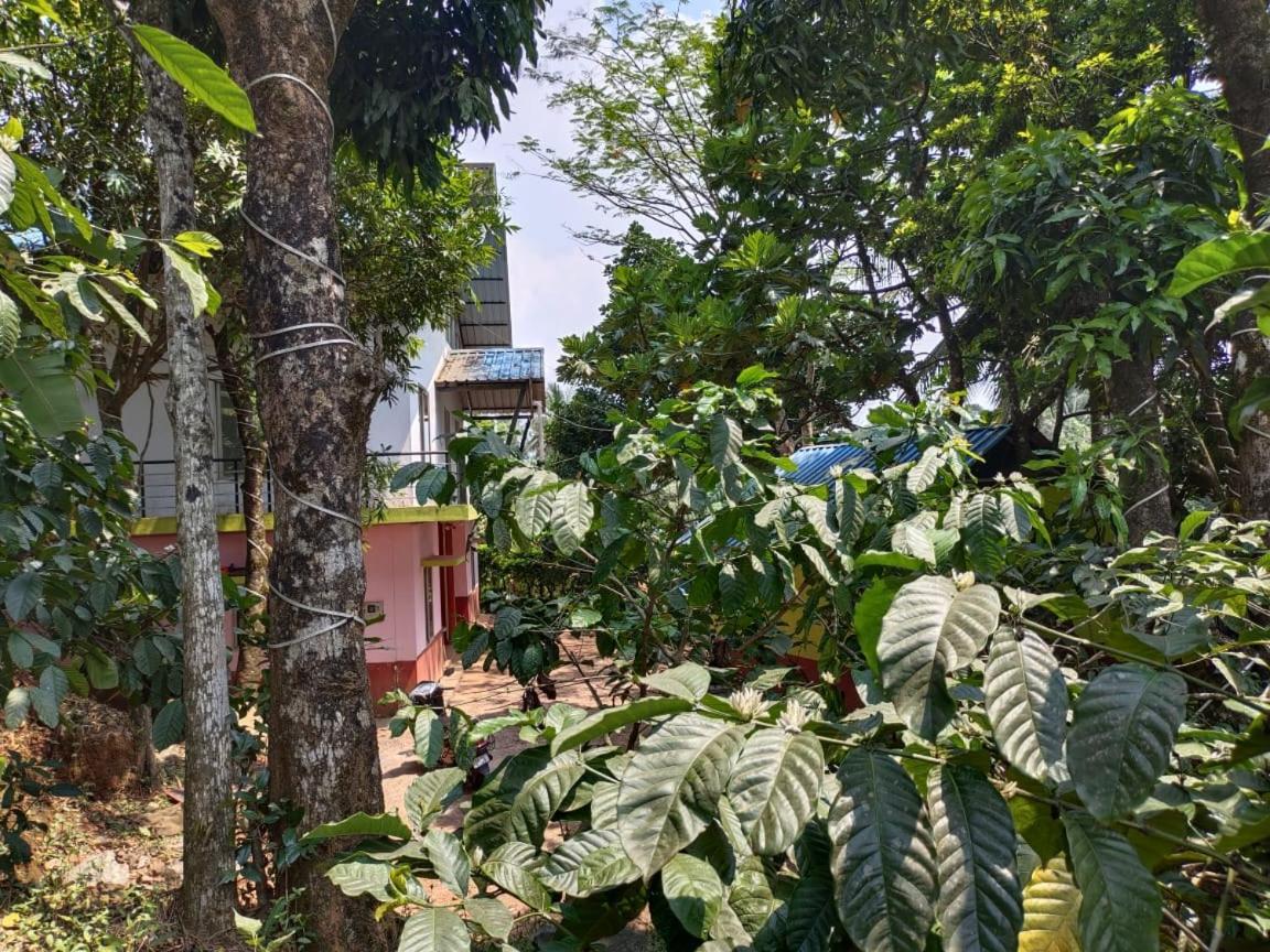 Green Land Estate Homestay 5 Rooms With Garden View Madikeri Exterior photo